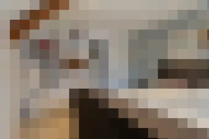 Kijftenbeltlaan 20 Hoevelaken thumbnail 28