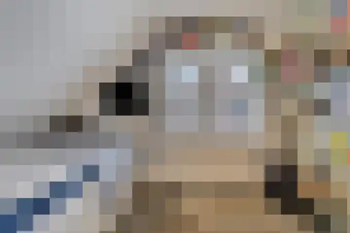 Kijftenbeltlaan 20 Hoevelaken thumbnail 31