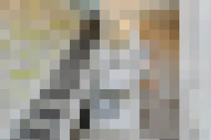 Kijftenbeltlaan 20 Hoevelaken thumbnail 34