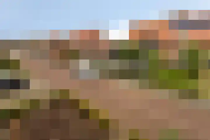 Kijftenbeltlaan 20 Hoevelaken thumbnail 35