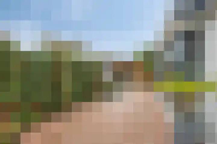 Kijftenbeltlaan 20 Hoevelaken thumbnail 40