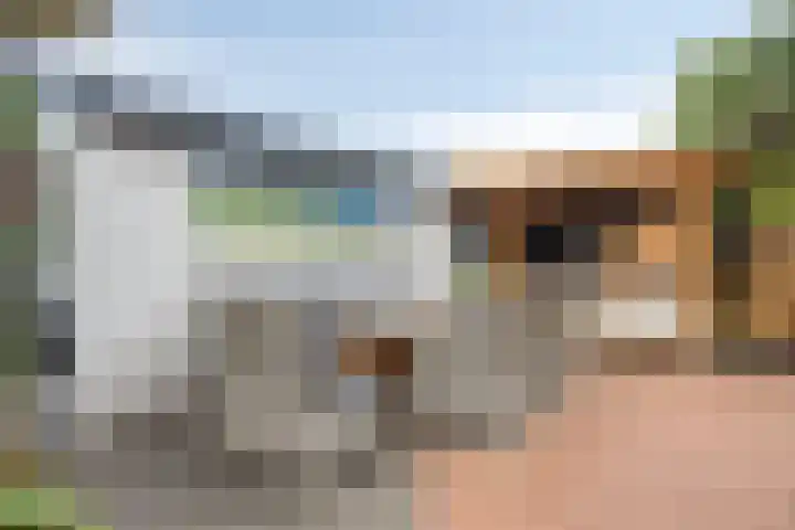 Kijftenbeltlaan 20 Hoevelaken thumbnail 41