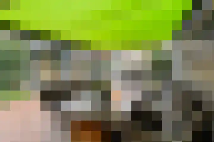 Kijftenbeltlaan 20 Hoevelaken thumbnail 45