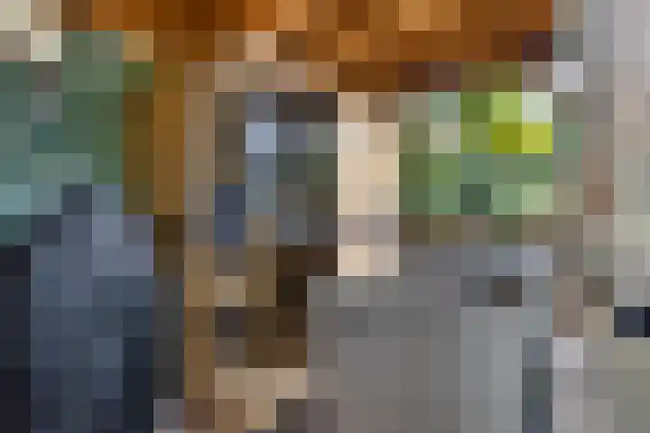 Kijftenbeltlaan 20 Hoevelaken thumbnail 47