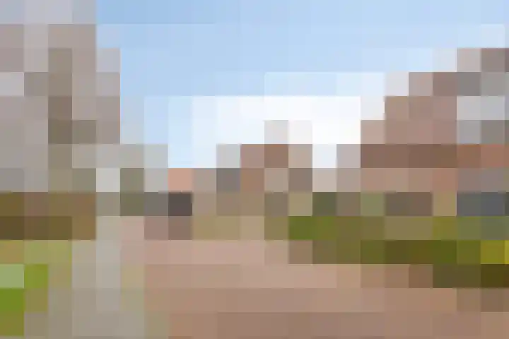 Kijftenbeltlaan 20 Hoevelaken thumbnail 5