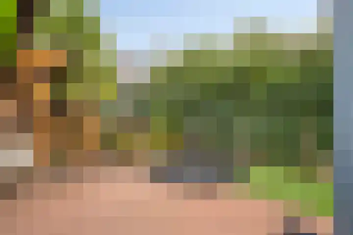 Kijftenbeltlaan 20 Hoevelaken thumbnail 51