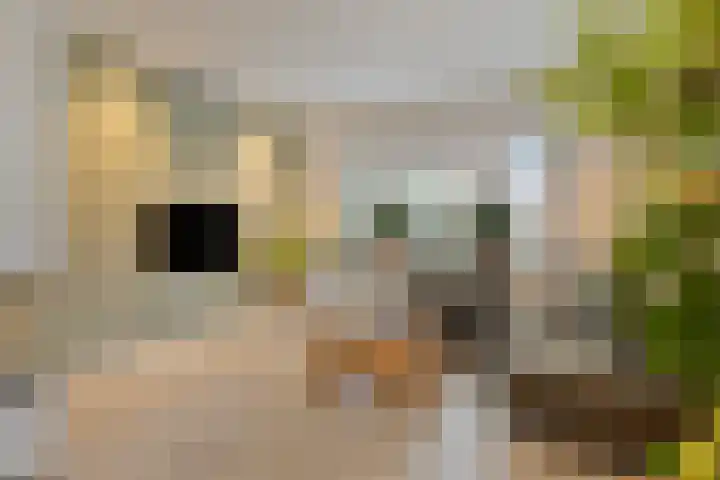 Kijftenbeltlaan 20 Hoevelaken thumbnail 7
