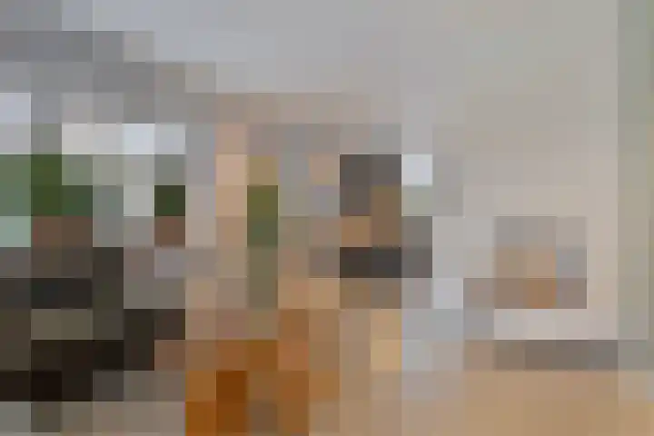 Kijftenbeltlaan 20 Hoevelaken thumbnail 8