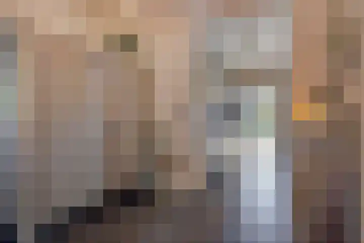 Kijftenbeltlaan 21 Hoevelaken thumbnail 11