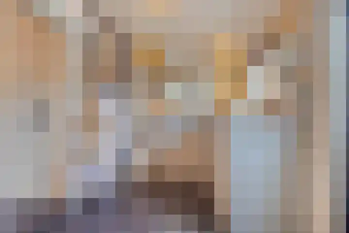 Kijftenbeltlaan 21 Hoevelaken thumbnail 20