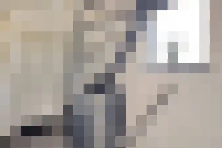 Kijftenbeltlaan 21 Hoevelaken thumbnail 23