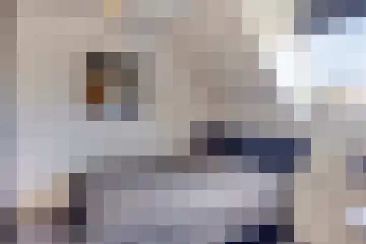 Kijftenbeltlaan 21 Hoevelaken thumbnail 24
