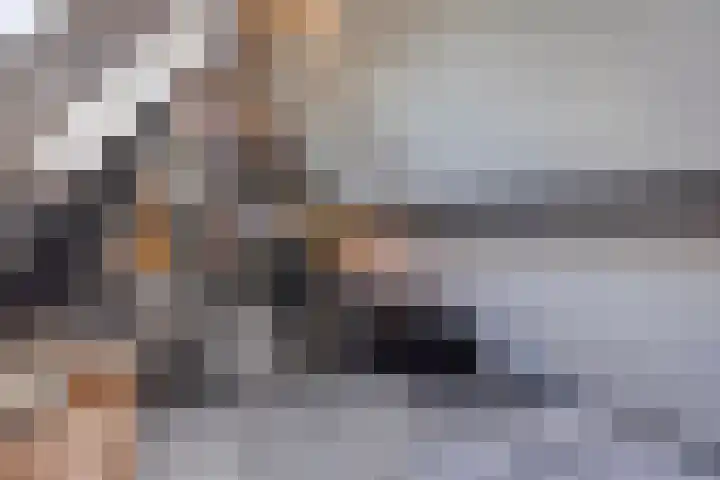 Kijftenbeltlaan 21 Hoevelaken thumbnail 31