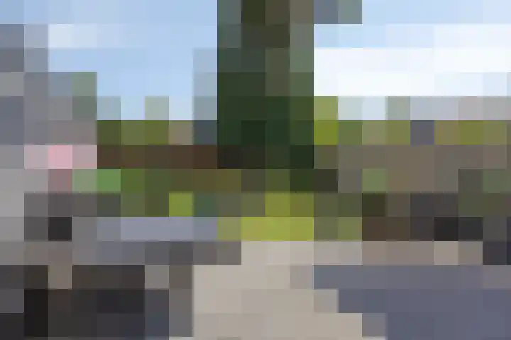Kijftenbeltlaan 21 Hoevelaken thumbnail 33