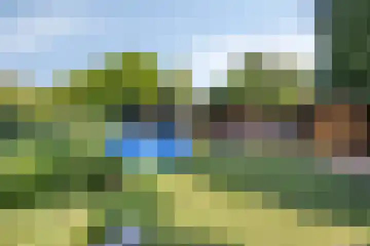 Kijftenbeltlaan 21 Hoevelaken thumbnail 35