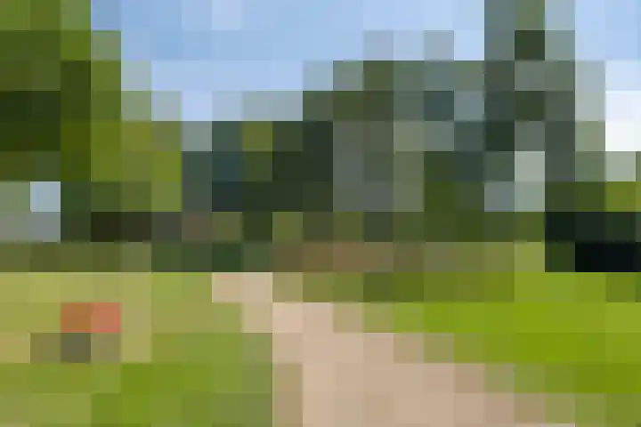 Kijftenbeltlaan 21 Hoevelaken thumbnail 39