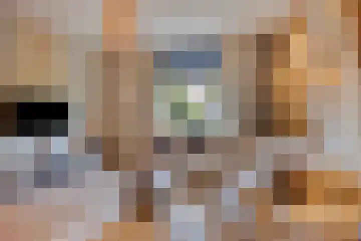 Kijftenbeltlaan 21 Hoevelaken thumbnail 7