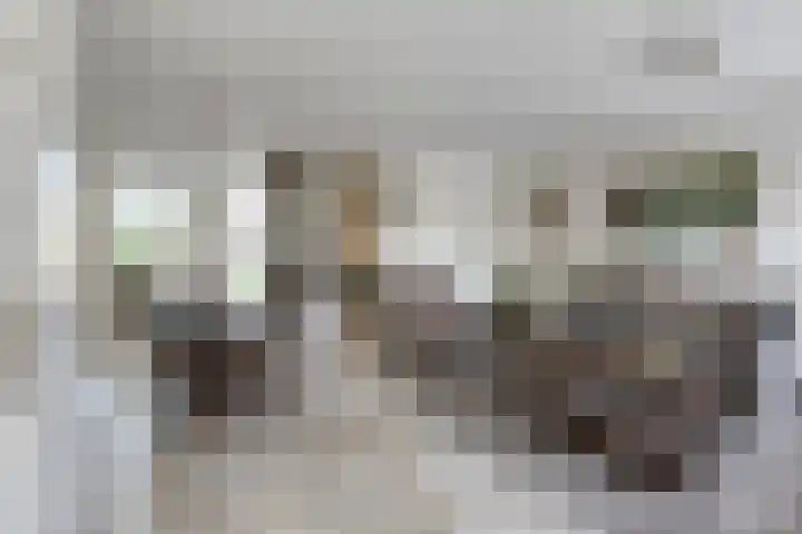 Kijkakkers 12 Maarheeze thumbnail 10