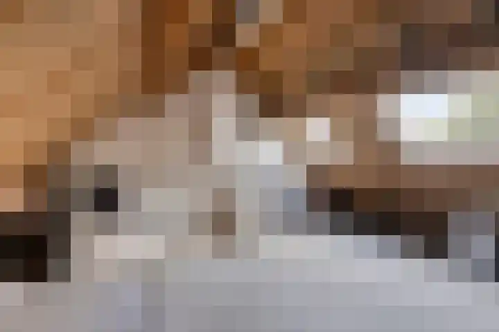 Kijkakkers 12 Maarheeze thumbnail 22