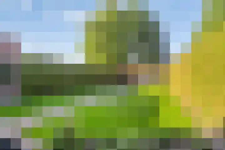 Kijkakkers 12 Maarheeze thumbnail 26