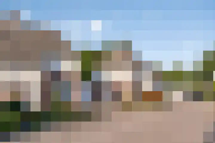 Kijkakkers 12 Maarheeze thumbnail 30