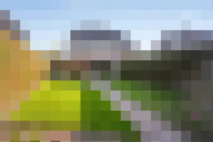 Kijkakkers 12 Maarheeze thumbnail 5