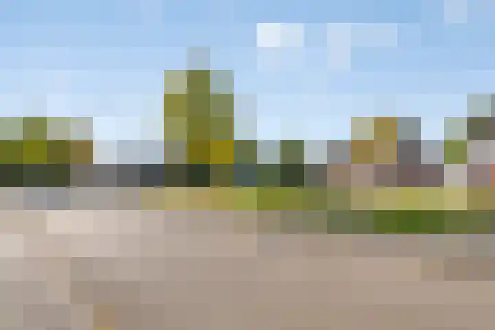 Kijkakkers 12 Maarheeze thumbnail 6