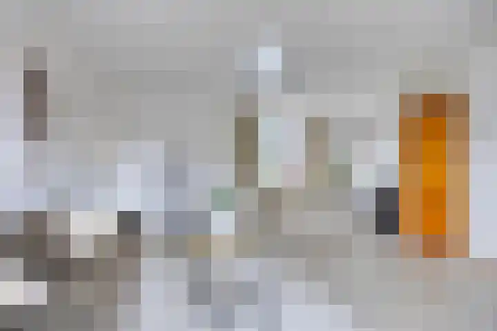 Kijkakkers 14 Maarheeze thumbnail 10
