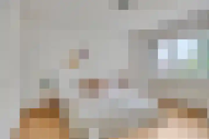 Kijkakkers 14 Maarheeze thumbnail 16