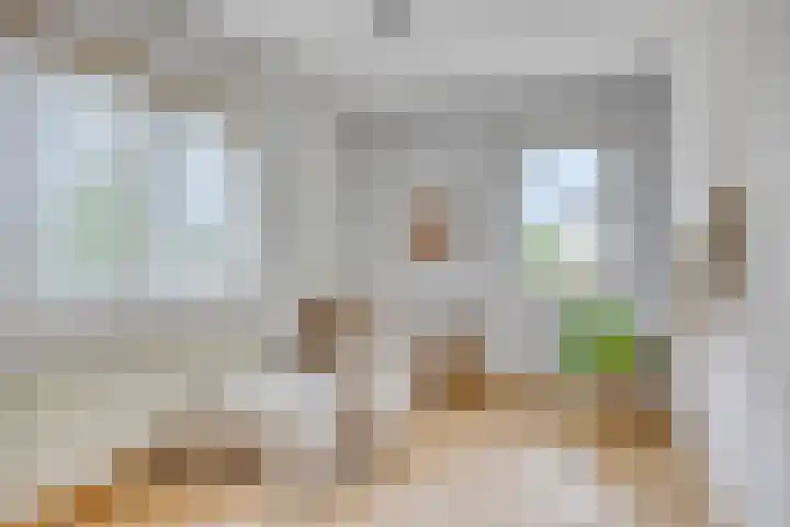 Kijkakkers 14 Maarheeze thumbnail 18