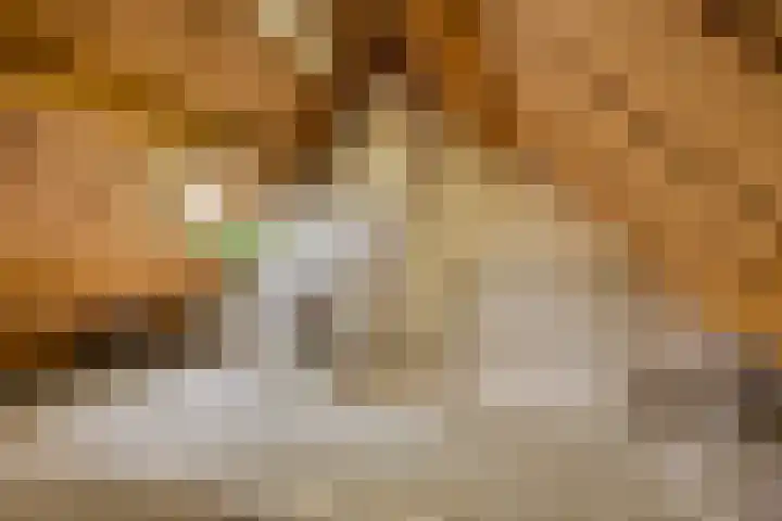 Kijkakkers 14 Maarheeze thumbnail 20
