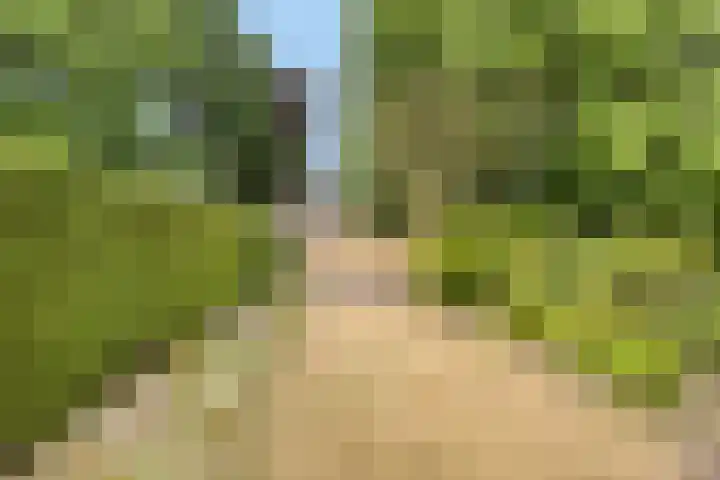 Kijkakkers 14 Maarheeze thumbnail 22