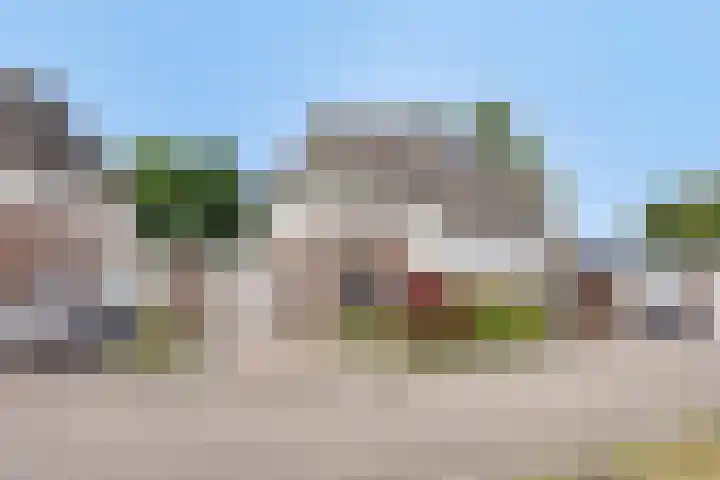 Kijkakkers 14 Maarheeze thumbnail 28