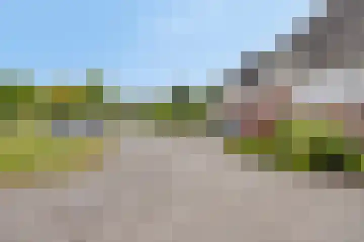 Kijkakkers 14 Maarheeze foto 3