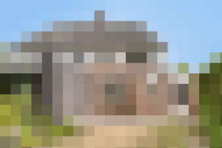 Kijkakkers 14 Maarheeze thumbnail 6