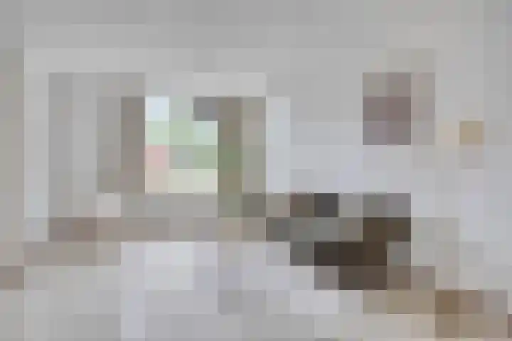 Kijkakkers 14 Maarheeze thumbnail 9