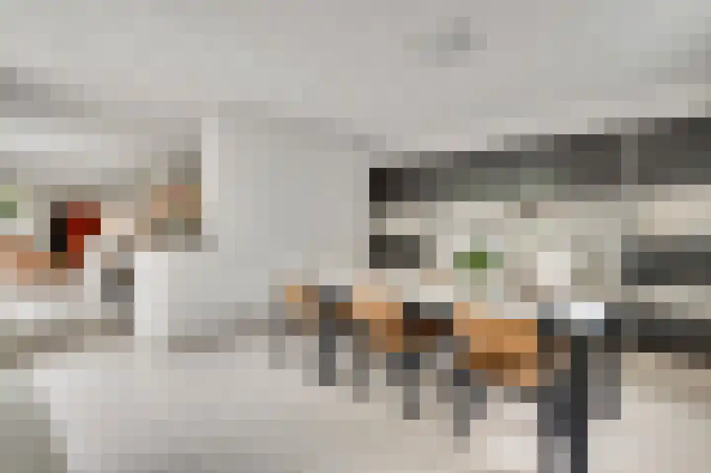 Kijkakkers 21 Maarheeze thumbnail 14
