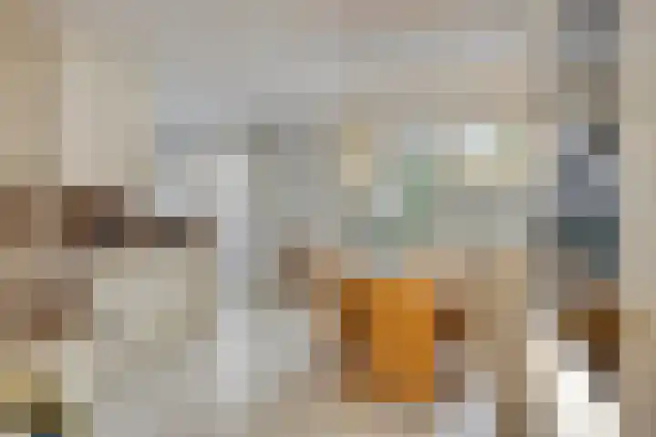 Kijkakkers 21 Maarheeze thumbnail 16