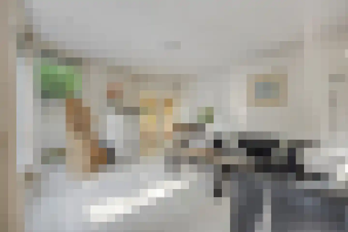 Kijkakkers 21 Maarheeze thumbnail 20