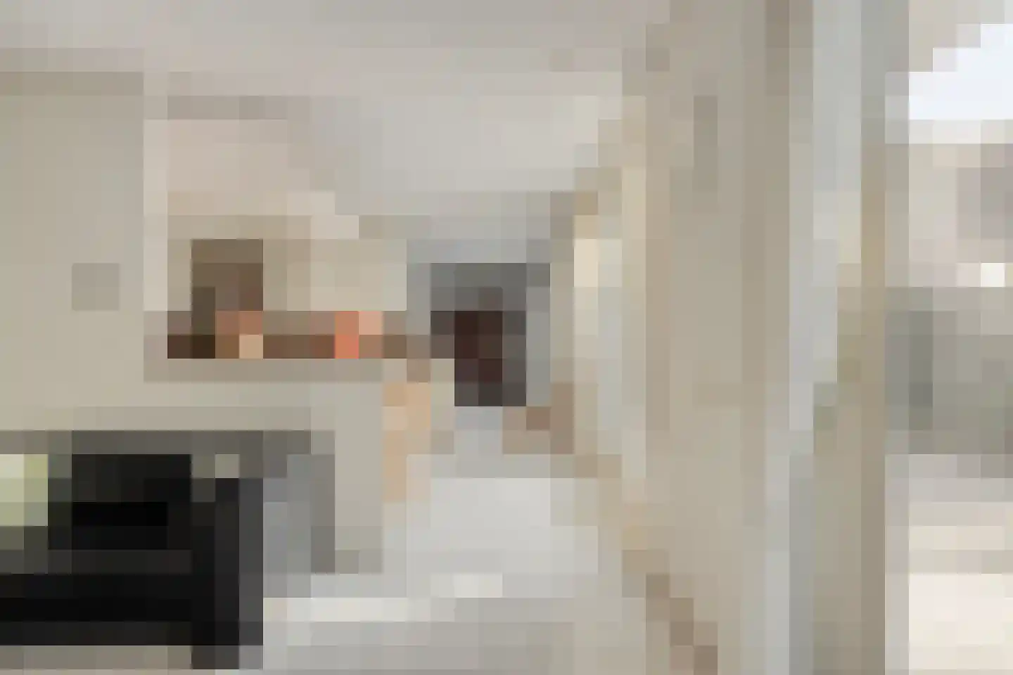 Kijkakkers 21 Maarheeze thumbnail 22