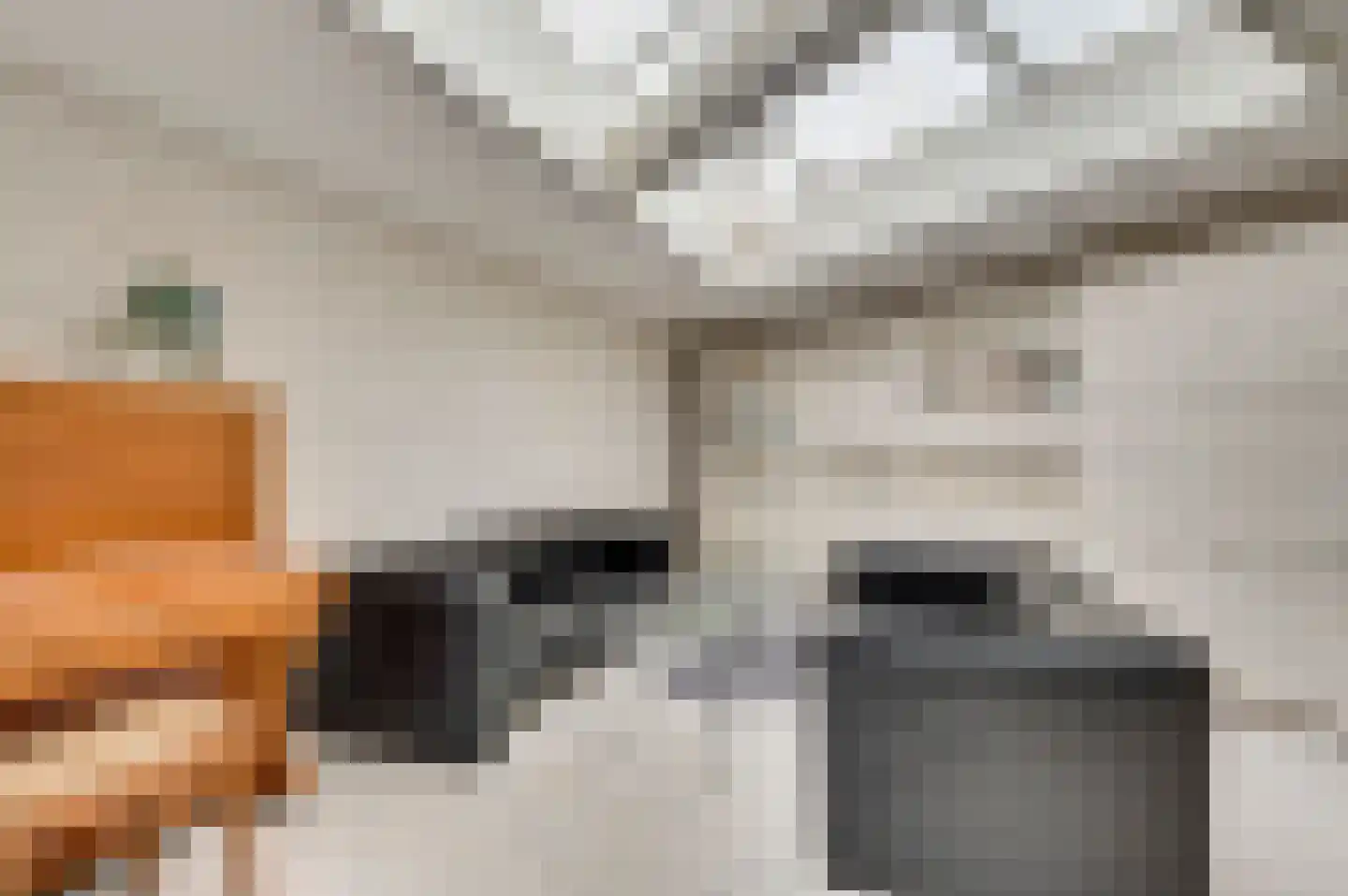 Kijkakkers 21 Maarheeze thumbnail 23