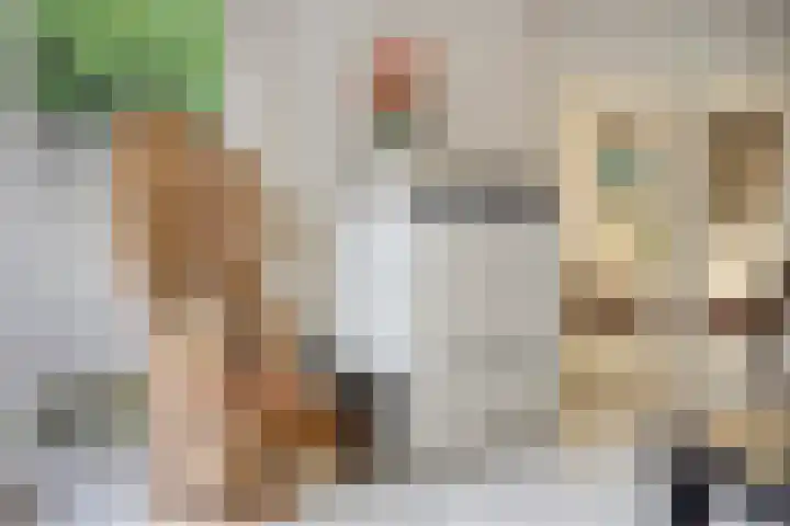 Kijkakkers 21 Maarheeze thumbnail 23