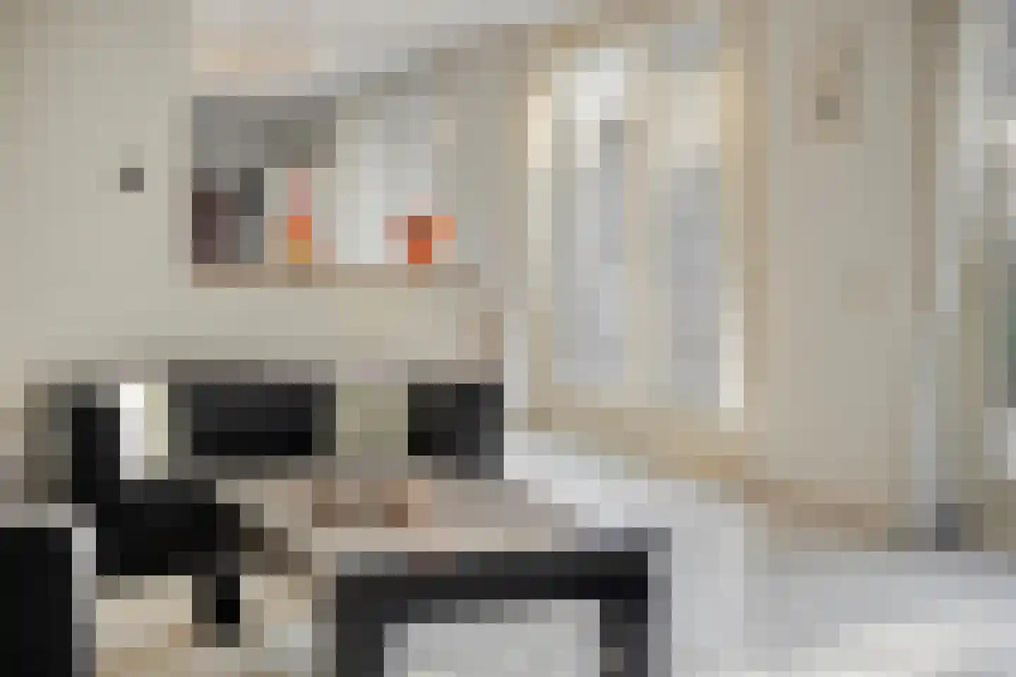 Kijkakkers 21 Maarheeze thumbnail 24
