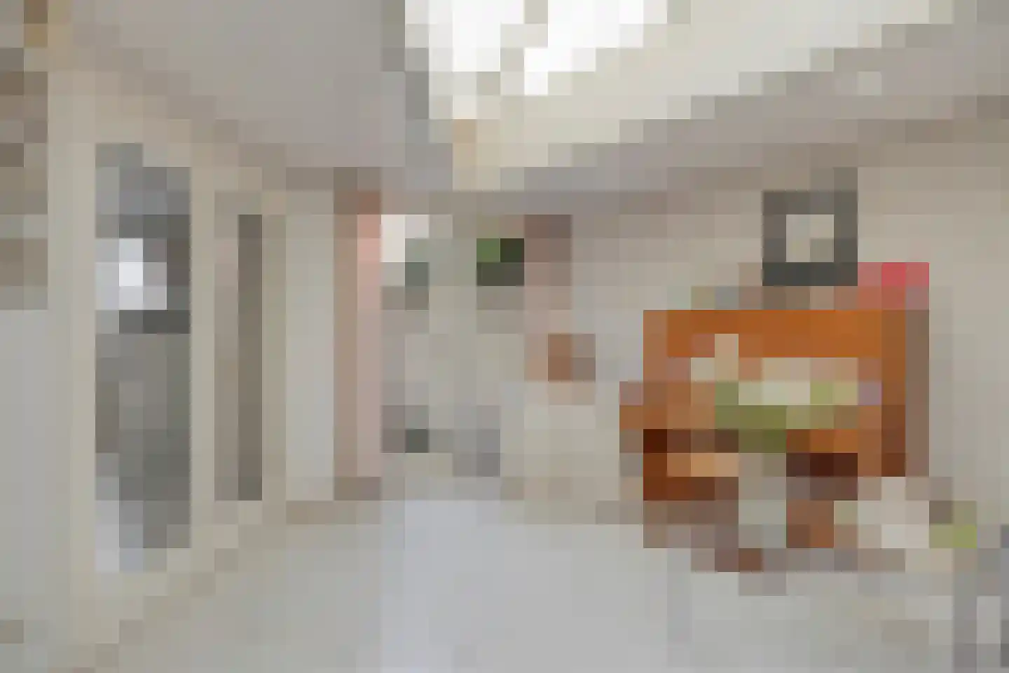 Kijkakkers 21 Maarheeze thumbnail 26