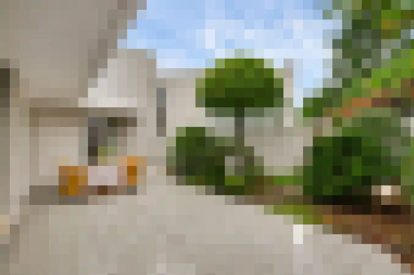 Kijkakkers 21 Maarheeze thumbnail 41