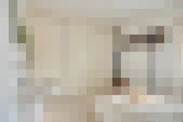 Kijkakkers 21 Maarheeze thumbnail 42