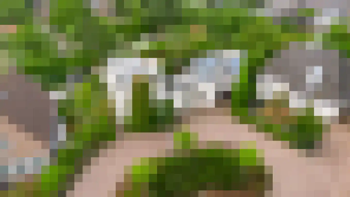 Kijkakkers 21 Maarheeze thumbnail 44