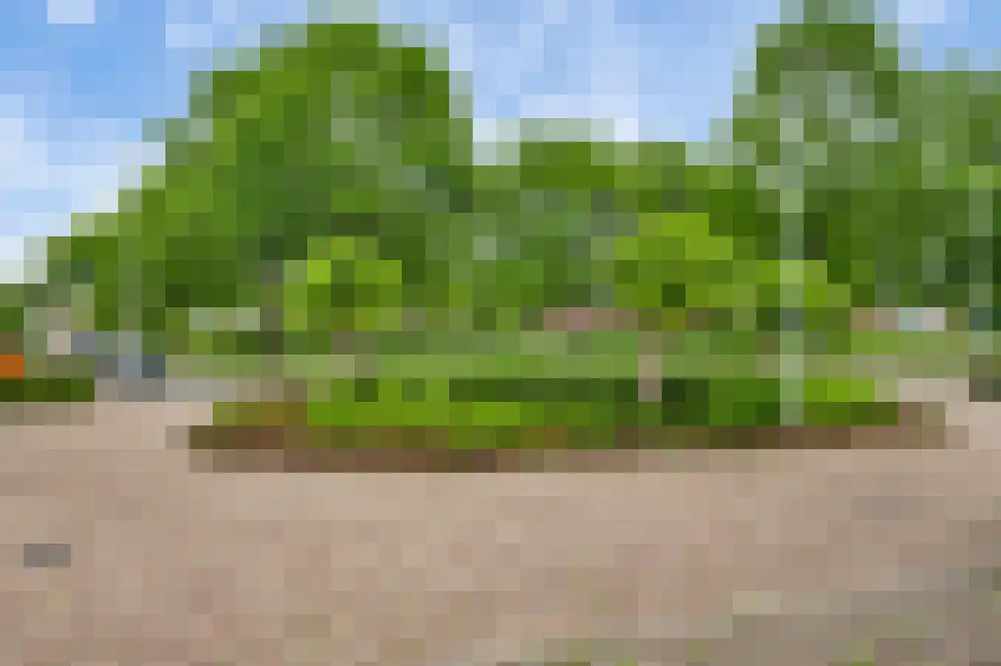 Kijkakkers 21 Maarheeze thumbnail 46