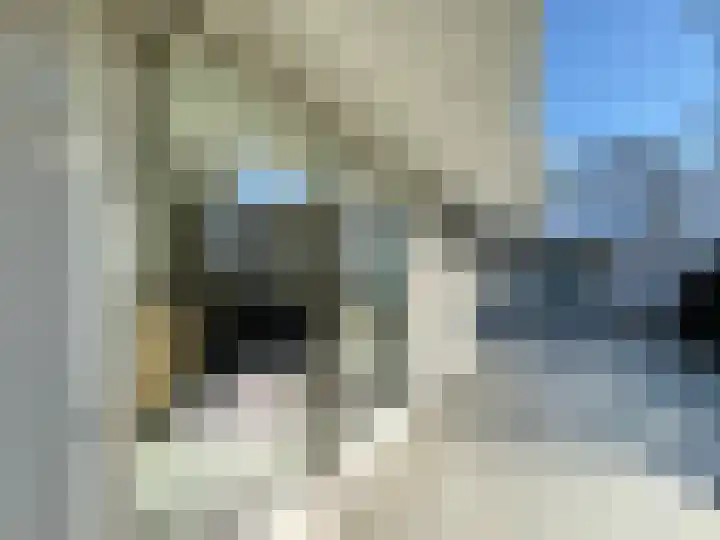 Kijkakkers 21 Maarheeze thumbnail 51