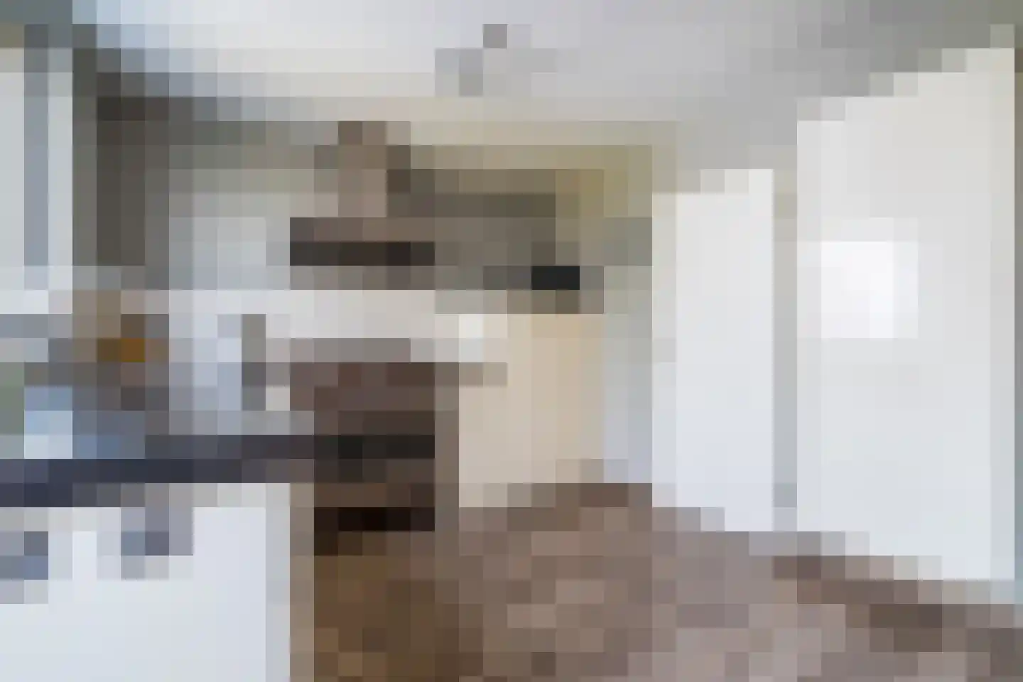 Kijkakkers 44 Maarheeze thumbnail 12